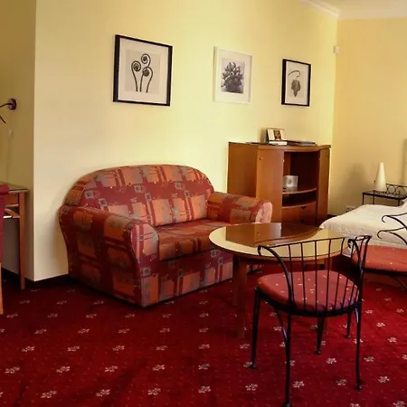 Apartment Festival Karlovy Vary